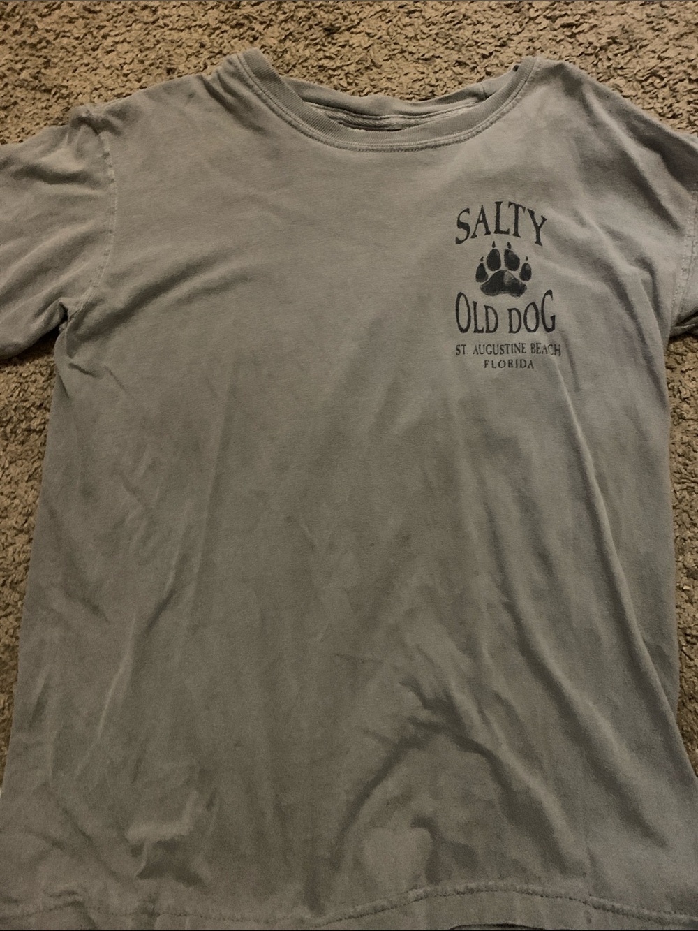 Comfort Colors Gray 'Salty Old Dog' Paw Pet Tee
